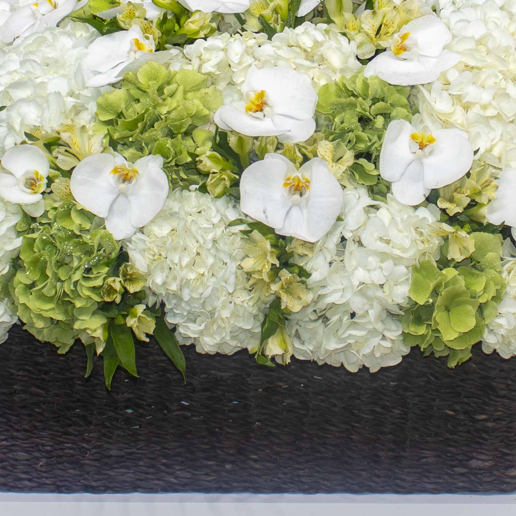 White Level II - Image 2