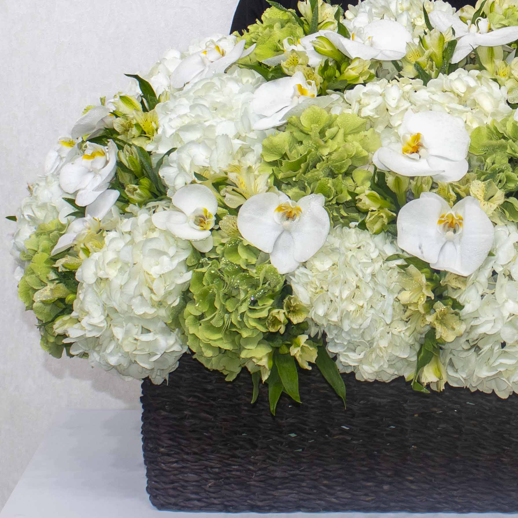 White Level II - Image 3